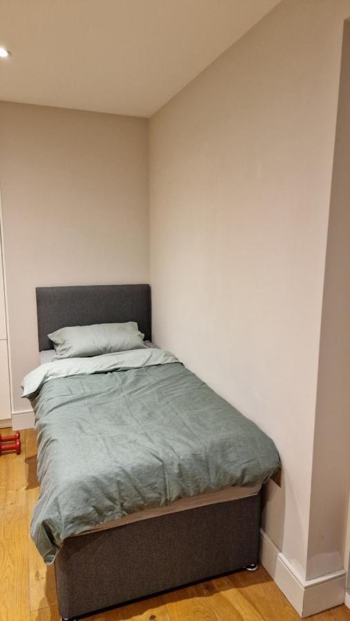 London City Apartment Ealing Buitenkant foto